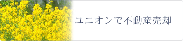 ユニオンでお部屋探し