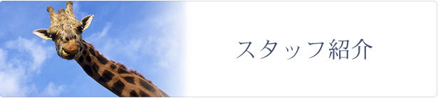 ユニオン不動産会社概要